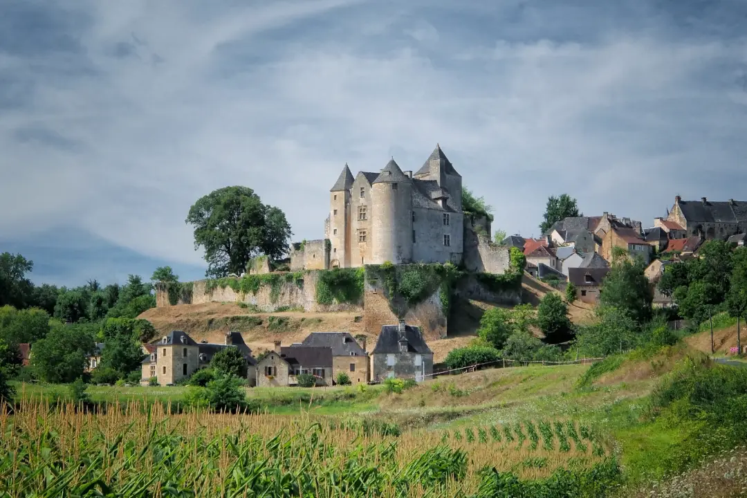 Château de Salignac-Eyvigues