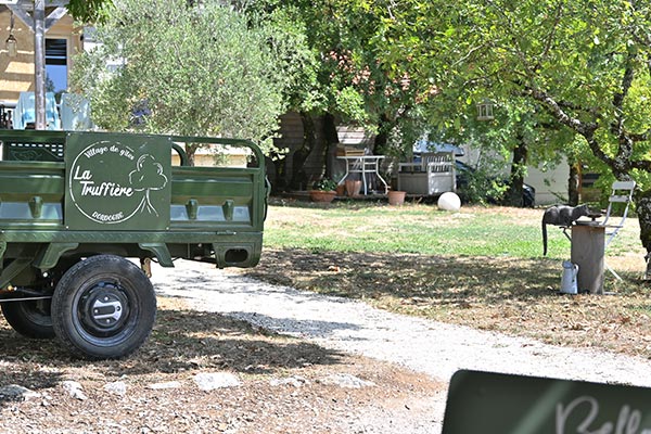 la-truffiere-suzanne-et-alphonse